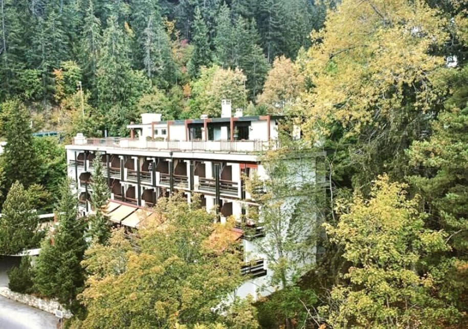 Hôtel de la Forêt - Photo 1