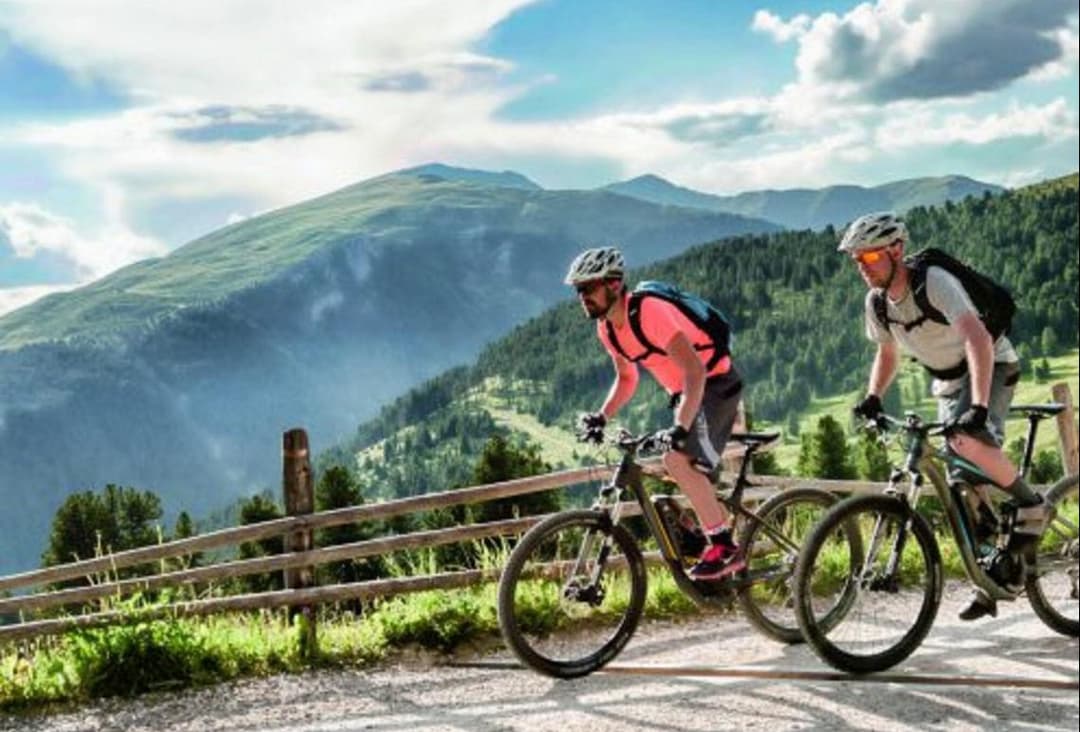 Hôtel de la Forêt - Photo 3