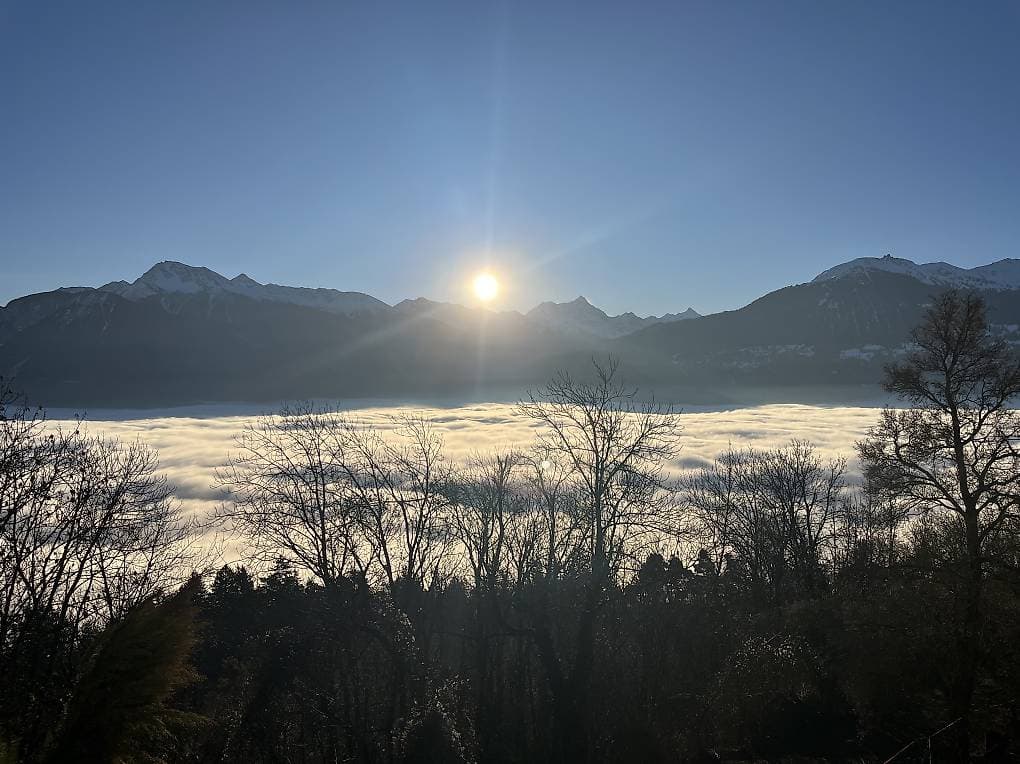 1640 – Appartement – 1pièce – 1500CHF – 50 m²