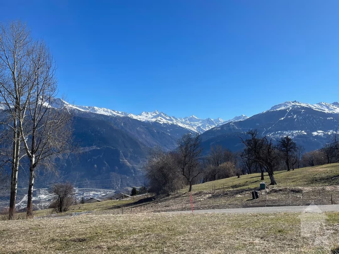 1909 – Terrain – 1200000CHF – 2229 m²