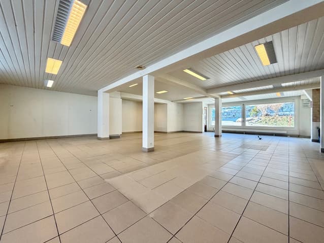 1905 – Maison 4,5 pièces – 950000CHF – 250m²