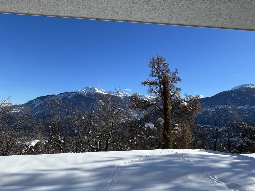 1640 – Appartement – 1pièce – 1500CHF – 50 m²