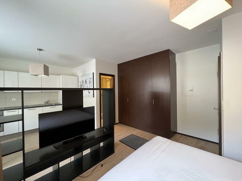 1566 – Appartement – 1pièce – 950CHF – 30m²