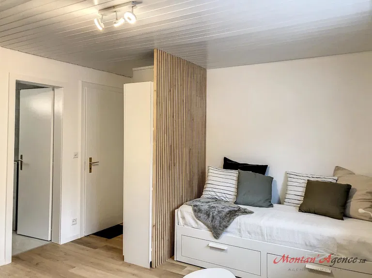 1678 – Appartement 1 pièce – 900 CHF