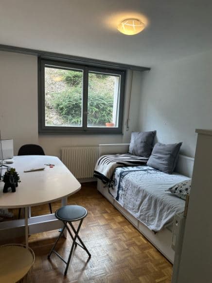 1716 – Appartement 1 pièce – 850CHF – 13m²