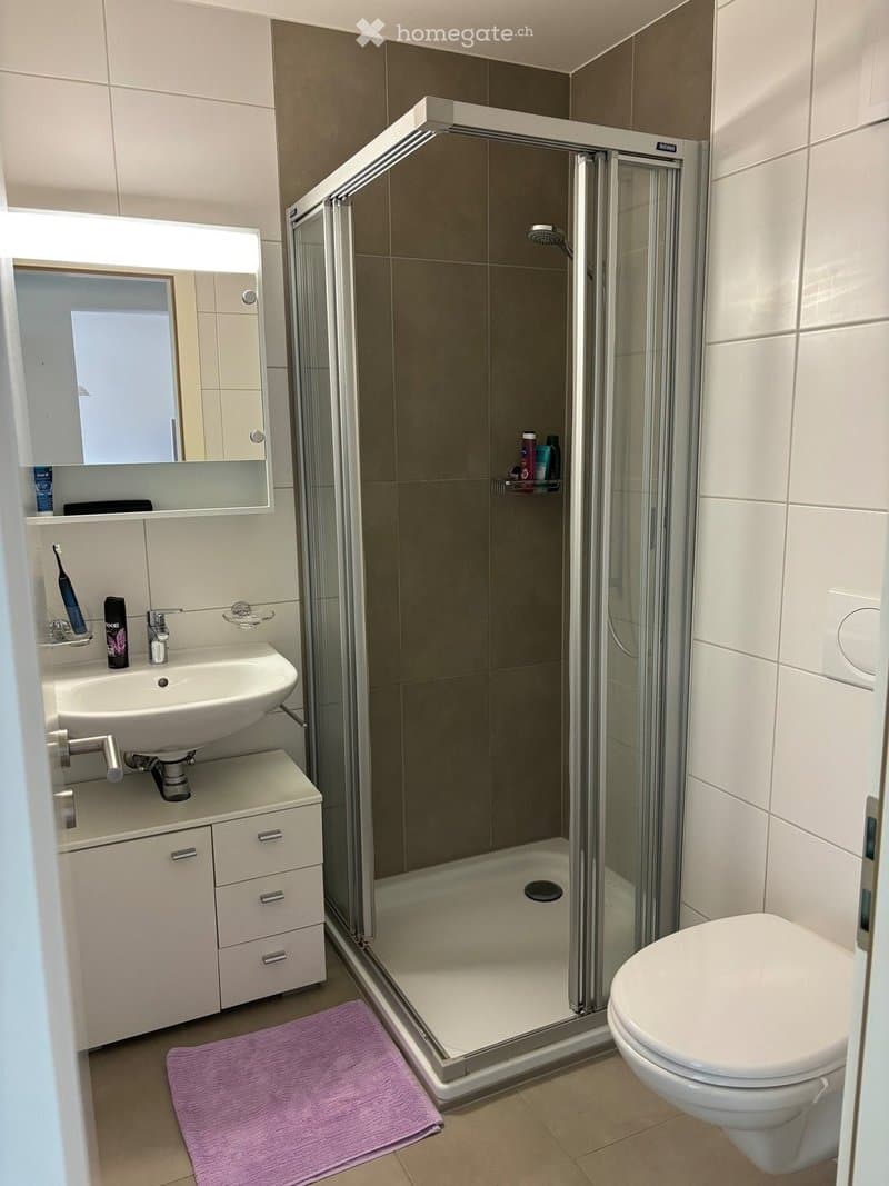 1671 – Appartement 2.5 pièces – 1150 CHF – 56m²