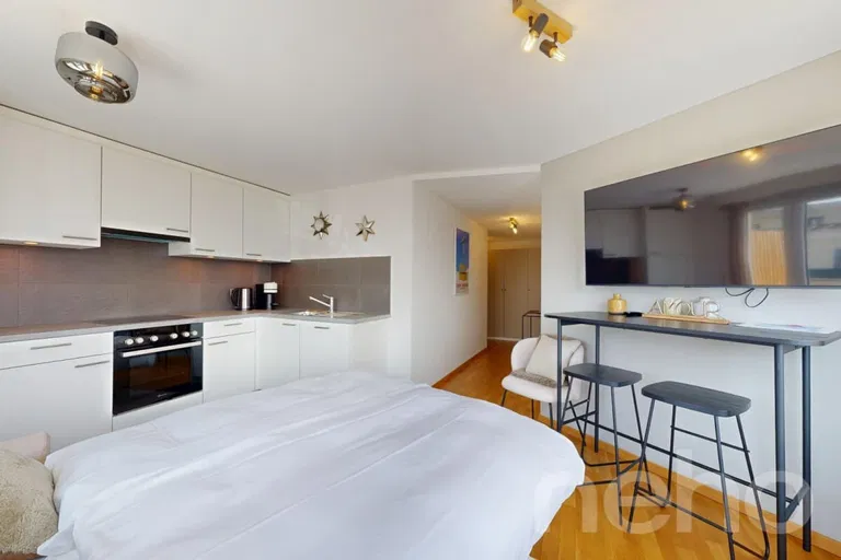 2043 – Appartement 1 pièce – 300000 CHF – 38 m²