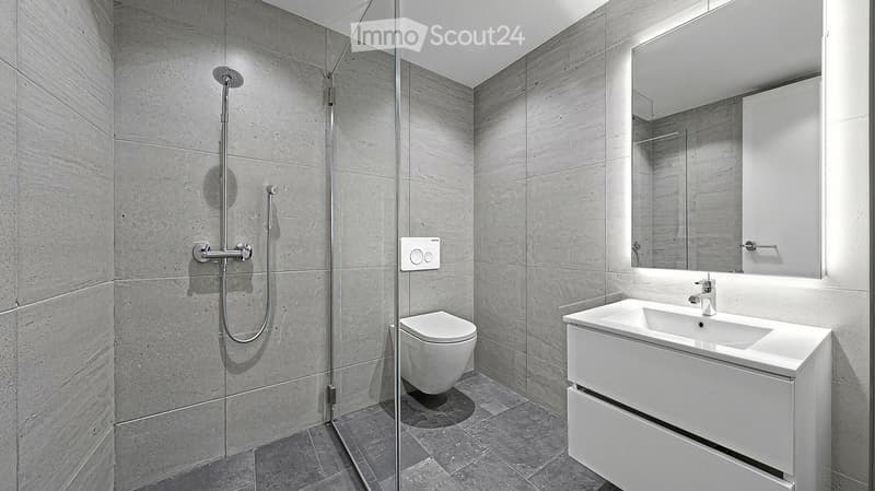 1694 – Appartement 2.5 pièces – 1360 CHF