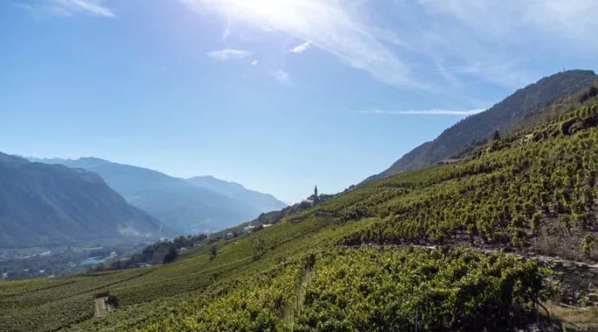 2127 – Appartement 5,5 pièces – 985000CHF – 165m²