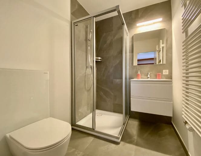 1901 – Appartement 1.5 pièces – 1100CHF – 30m²