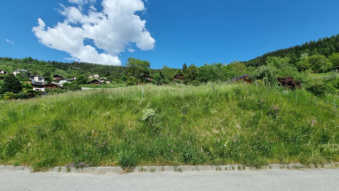 2312 – Terrain – 264400 CHF – 809m²